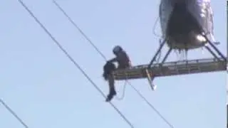 Seagull and Deer Rescued by Helicopters