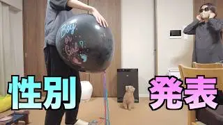 【パパにサプライズ】ついにお腹の赤ちゃんの性別が判明しました！