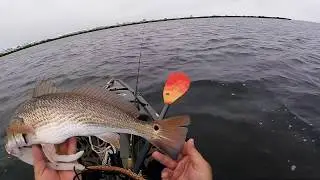 5-12-2019 SPI Fishing