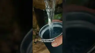 Taste of Ancient Water