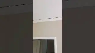 #cornice #diy #inspection #cracks #homeimprovement #raw #unedit #highlight #pta #new #business #jhb