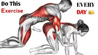 Do These 9 Exercises Every Day &ndash; They&rsquo;ll Change Everything