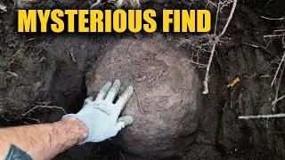 A Mysterious Find in the Forest with a Metal Detector