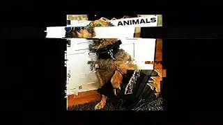ANIMALS (MZPERX HARD TECHO EDIT) [Free DL]