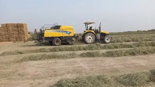 Rhodes Grass Hay | Hay bailing | Export Quality Hay | Green fodder | How to make hay