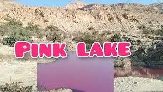 Discover the Pink Lake of Jordan