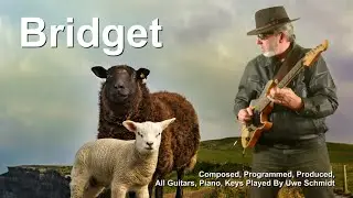 BRIDGET (by Uwe Schmidt/UJSmusic)