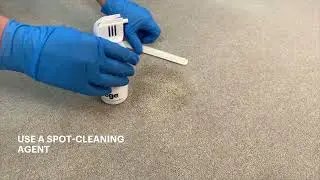How to get vomit out of carpet: Your go-to guide