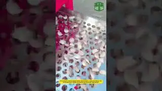This automatic sorting machine quickly and efficiently separates seeds by size