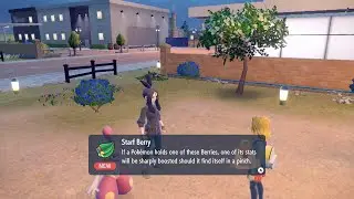 Pok&eacute;mon Scarlet & Violet - Getting the Starf Berry (Knockout ESP Training)
