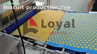 Commercial Biscuit Production Line for Large Scale Use with High Output CapacityWechat＋8613006576335