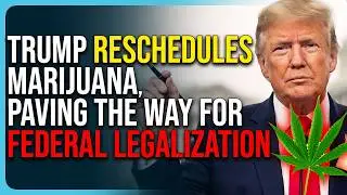 Trump RESCHEDULES Marijuana, Paving The Way For Federal Legalization