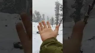 #BRAHMATAL  #uttarakhand #trekking #snowfall #trekkinginhimalayas #trekkingonsnow