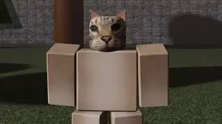 Loki Funny Cat Gameplay (Jokesaken)