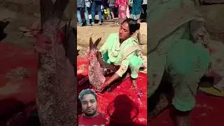 Amazing fish cutting skills#sortvideo#fish#fishcutting