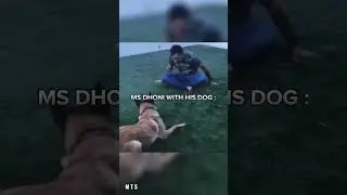 hardik pandya you beauty 🥵🛐🔥 #shorts #cricket #cricketshorts #hardikpandya #indiavspakistan #dog