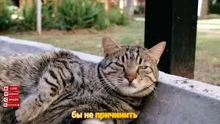 ТОП-5 НЕВРОЯТНЫХ ФАКТОВ!СМОТРИ ВНИМАТЕЛЬНО#канал #топ5 #хочуфакты #мир #факты #океан #кино 