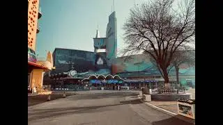 D Ver : Qingdao 2025-2026