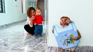 Monkey Kaka hid behind the wall with the chair for Diem to find, so fun