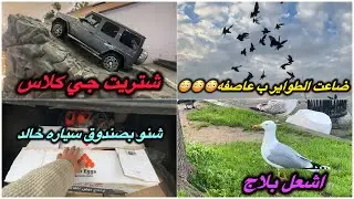 ضياع الطيور بل عاصفه😭😭شنو بعت شنو شتريت😂😂نهزمن الطيور ومطرت الدنيا😔😔😔