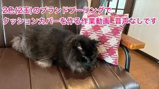 ２色のプランドプーリングでクッションカバーを作る作業動画