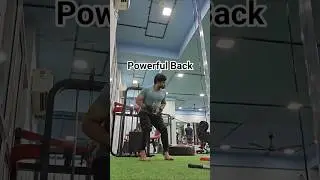 Powerful Back Workout 💥 Wide & Strong Back Guaranteed! #fitness #shorts #shortsfeed