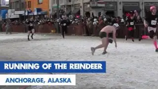 Running of the Reindeer - Anchorage