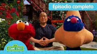 Día de Dar las Gracias a Tu Cara 😊 | Sesame Street en Castellano | Episodio Completo