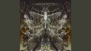 Broken Clocks