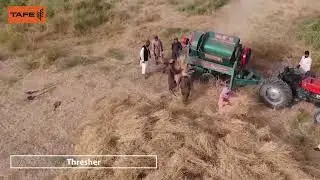 TAFE Tractors | Reaper - Thresher combo | Streamlining Harvesting | #TheBigOrangeTractor