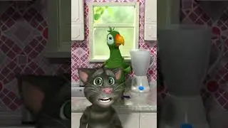 Talking Pierre the Parrot 
