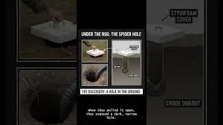 How a Simple Rug Ended the World's Biggest Manhunt