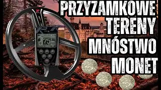 Wykopki wykrywaczem Nokta The Legend Posypało monetami