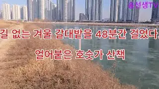 길 없는 겨울 갈대밭을 48분간 걸었습니다｜얼어붙은 호숫가 산책