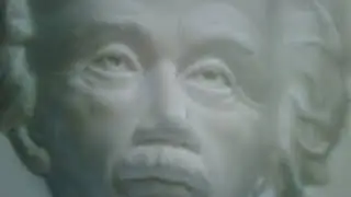 Einstein mask optical illusion