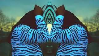 I N D I E D R U G S by DJ SKOLi X Brizzy Danks