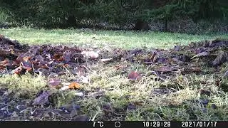 DSCF0672