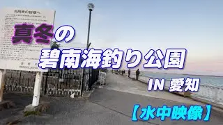 【水中映像】1月の碧南海釣り公園 愛知県