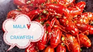 MALA CRAWFISH(MALA XIAO LONGXIA) 🦞🦞🦞/TRAVEL BITE HONGKONG 🇭🇰