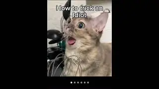 How to trick an idiot 😂😂 #memes
