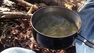 hemlock tea 2017