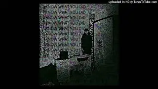 (FREE) DISTORTED 808 TRAP HARD LIL DARKIE X NASCAR ALOE TYPE BEAT 