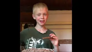 Hvad er det bedste mad