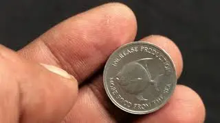 Singapore Rare 5 Cents Fish Coin 1971 First Series