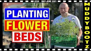 🌻238 🌻 ПОСАДКА ЦВЕТОЧНЫХ КЛУМБ 🌻 ПОСАДКА ГИГАНТСКИХ ПОДСОЛНУХОВ 🌻