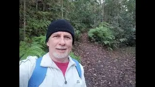The Hidden Shack at the End of Currumbin Valley