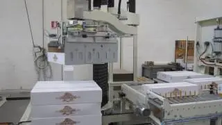 Ausloos - Box palletizing with Europack robot