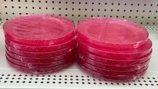 DOLLAR TREE MOSTLY $1.25 ON 2026 VALENTINE'S DAY STUFF