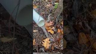 Прощай, проблемная вода! #покапроблемнаявода