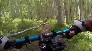 Son of a Buffehr - Lost Lake Vail Colorado